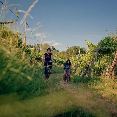 Apartman Ana - Karst Cycling Paradise