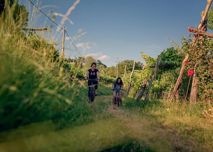 דירה Ana - Karst Cycling Paradise