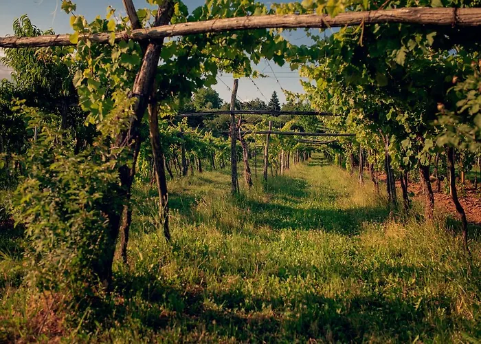 דירה Ana - Karst Cycling Paradise Dutovlje