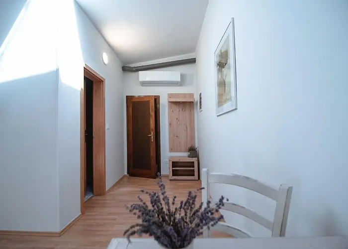 Ana - Karst Cycling Paradise