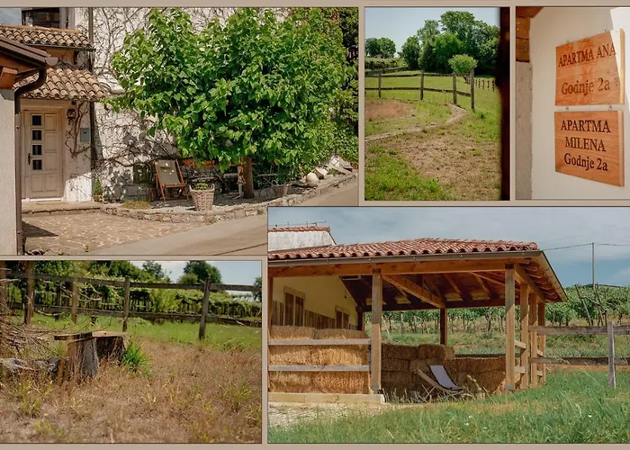 Ana - Karst Cycling Paradise * Dutovlje